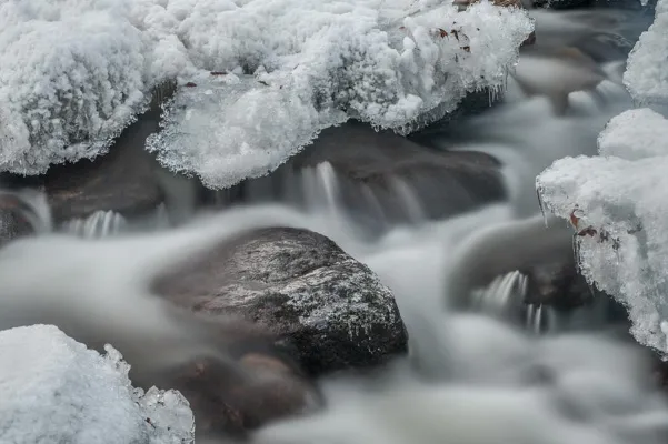 Bild: Winter-Fotospaziergang im unteren Ilsetal bei Ilsenburg im Harz