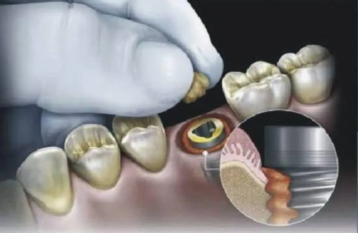 Das Hongkonger Unternehmen Green Paradise Int. Ltd. wird im November auf der Medizinmesse vertreten sein. Foto: Green Paradise