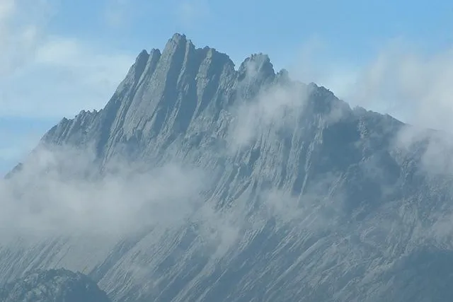 Expedition sucht Bergsteiger für Neuguinea Bild: Expedition sucht Bergsteiger für Neuguinea