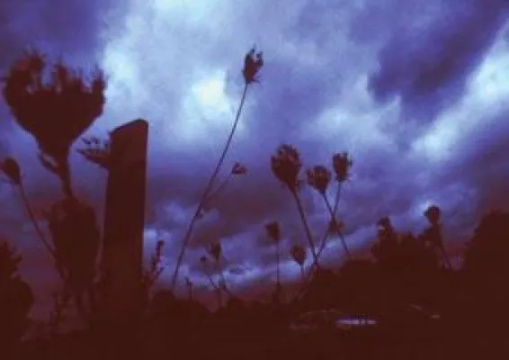 Bild: Künstlerische Fotografie - Edge of Light in Frankfurt ab 4. Oktober 2008