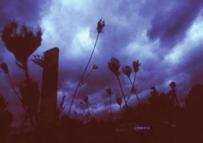 Bild: Künstlerische Fotografie - Edge of Light in Frankfurt ab 4. Oktober 2008