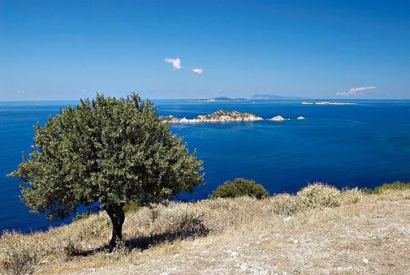 Bild: Korfu im Juli: Yoga-Urlaub mit bekanntem Berliner Yogalehrer