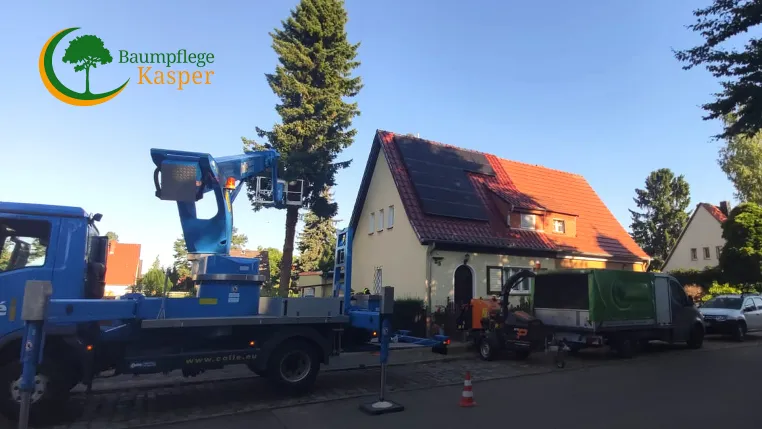 Bild: Baumpflege Kasper realisiert Baumfällungen in Berlin mit Hebebühnen und spezialisierter Technik