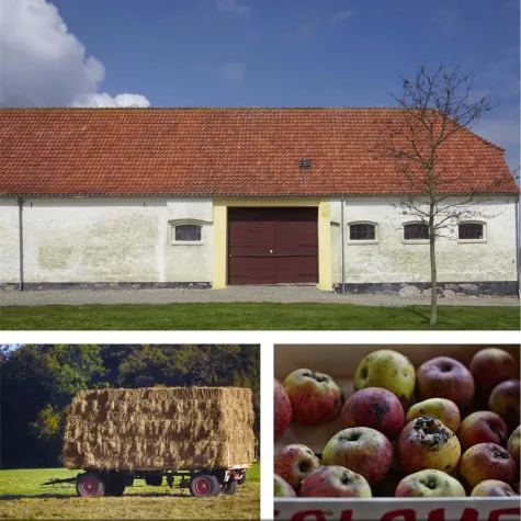 Bild: Bilder wecken Erinnerungen