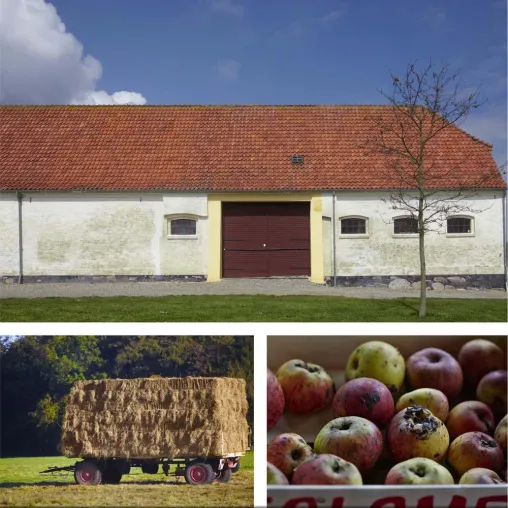 Bild: Bilder wecken Erinnerungen
