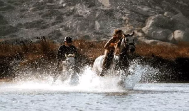 Natural Horsemanship auf Naxos in Griechenland Bild: Natural Horsemanship auf Naxos in Griechenland