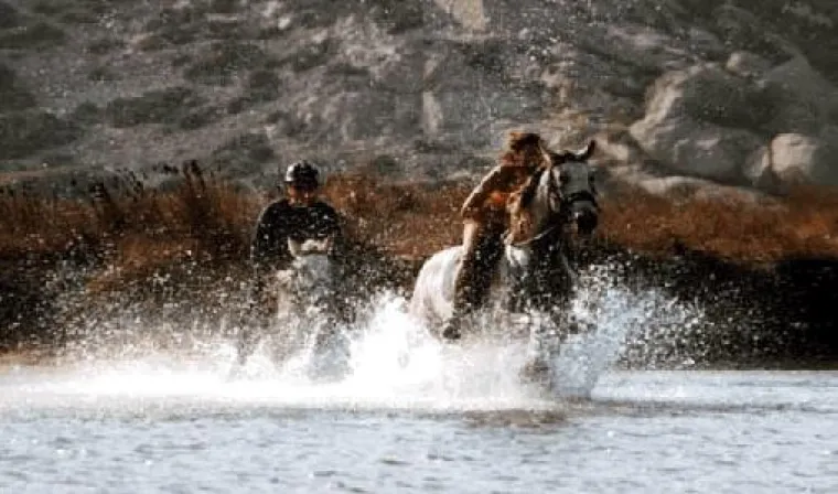 Bild: Natural Horsemanship auf Naxos in Griechenland