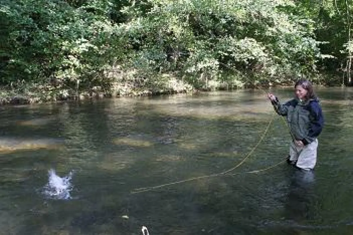 Fliegenfischen in der Wenne.