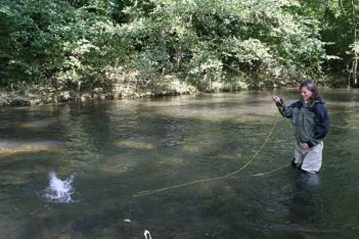 Bild: Sauerland – ein Paradies für Fliegenfischer