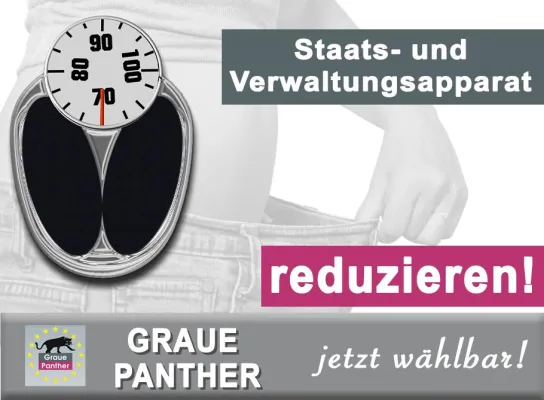 Graue Panther - Staats- und Verwaltungsapparat reduzieren Bild: Graue Panther - Staats- und Verwaltungsapparat reduzieren