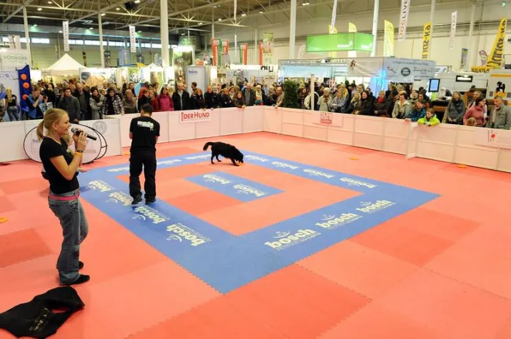Tolle Aktionen mit der Uelzener auf der DogLive Bild: Tolle Aktionen mit der Uelzener auf der DogLive