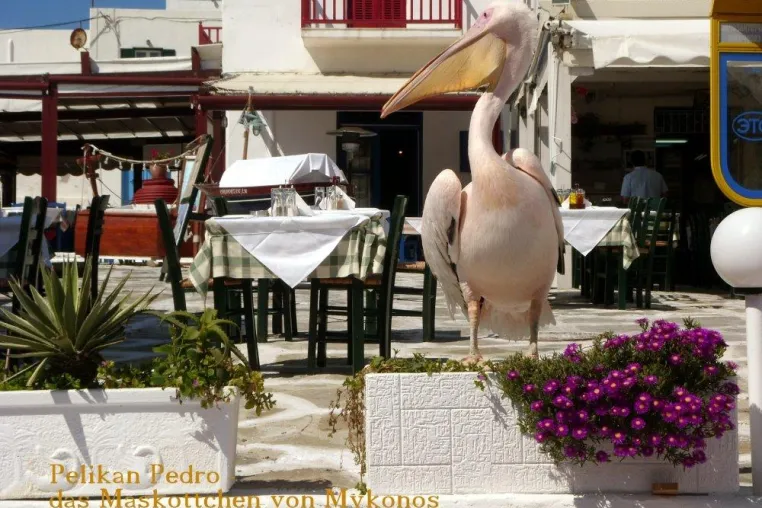Bild: Mykonos – Auszeichnung durch das Reisemagazin Condé Nast Traveller