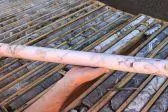 Bild: Gold und Kupfer - glänzende Metalle im Novembergrau