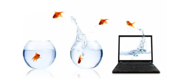 Komplette Bewertungsdetails und Kommentare zu Unternehmen – Jetzt frei zugängig Bild: Komplette Bewertungsdetails und Kommentare zu Unternehmen – Jetzt frei zugängig