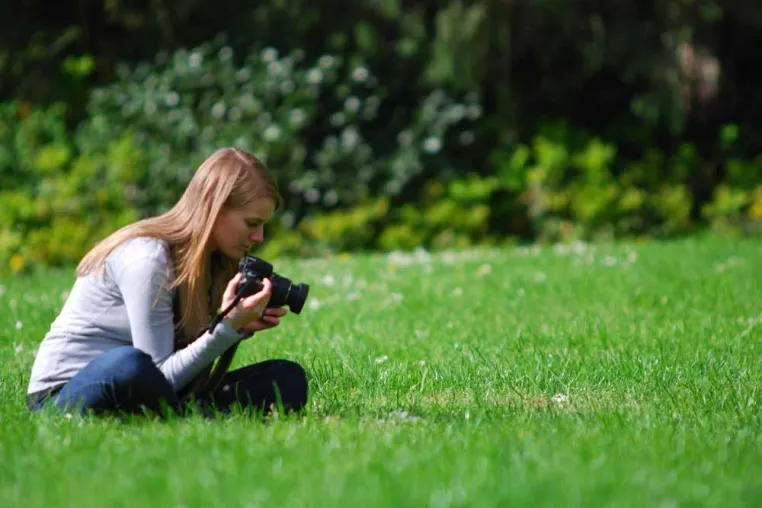 Bild: Fotokurse in Dresden - Sommerzeit gleich Fotozeit
