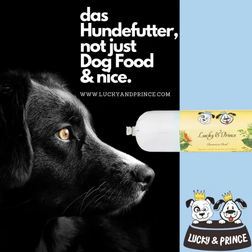 Luck&Prince : Mit Premium Hundefutter europaweit auf Wachstumskurs Bild: Luck&Prince : Mit Premium Hundefutter europaweit auf Wachstumskurs