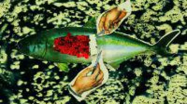 Artport_Good Food COP23 Bonn: Ein interdisziplinäres Kunstprogramm zur Klimakonferenz mit Tino Sehgal Bild: Artport_Good Food COP23 Bonn: Ein interdisziplinäres Kunstprogramm zur Klimakonferenz mit Tino Sehgal