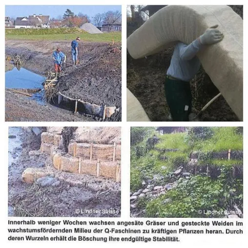 Bild: Erfolgreich renaturiert - mit Holzwolle Faschinen