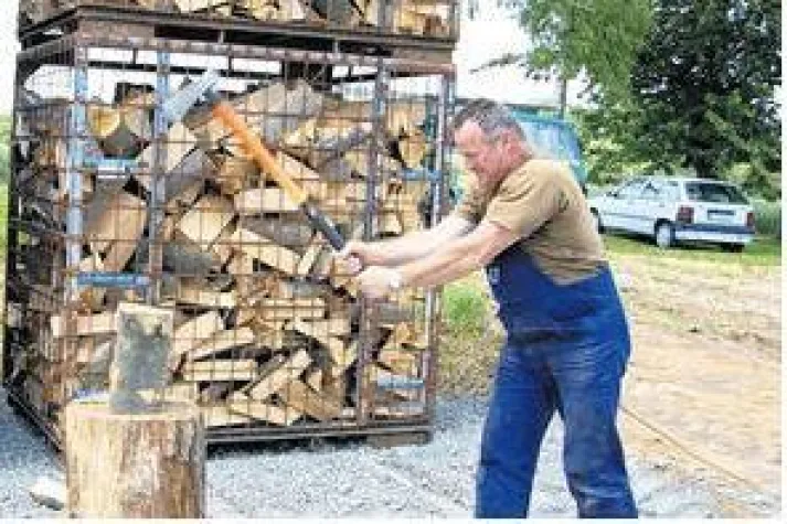 Bild: Brennholzdepot sucht den Superspalter