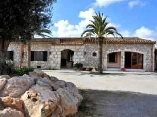 Bild: Immobilien Mallorca – die Kauflust nimmt weiter zu