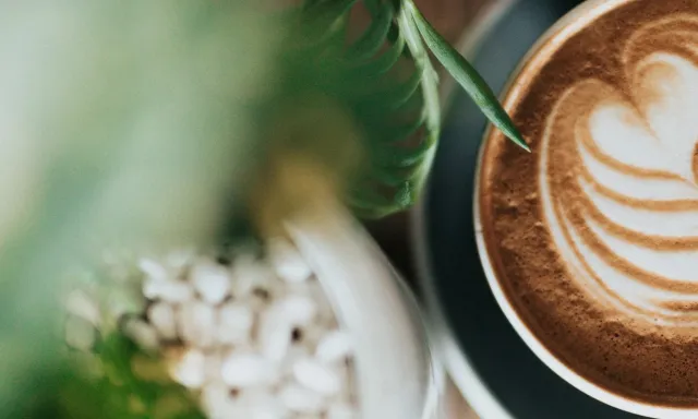 Climedo Health lädt zum Online-Austausch ein: „Der Weg zur DiGA – eine Fallstudie mit Rehago“ Bild: Climedo Health lädt zum Online-Austausch ein: „Der Weg zur DiGA – eine Fallstudie mit Rehago“