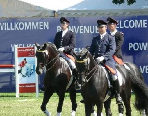 Bild: Filme und kostenloser Bilderdownload von der Eurocheval Offenburg auf pferdefernsehen.eu