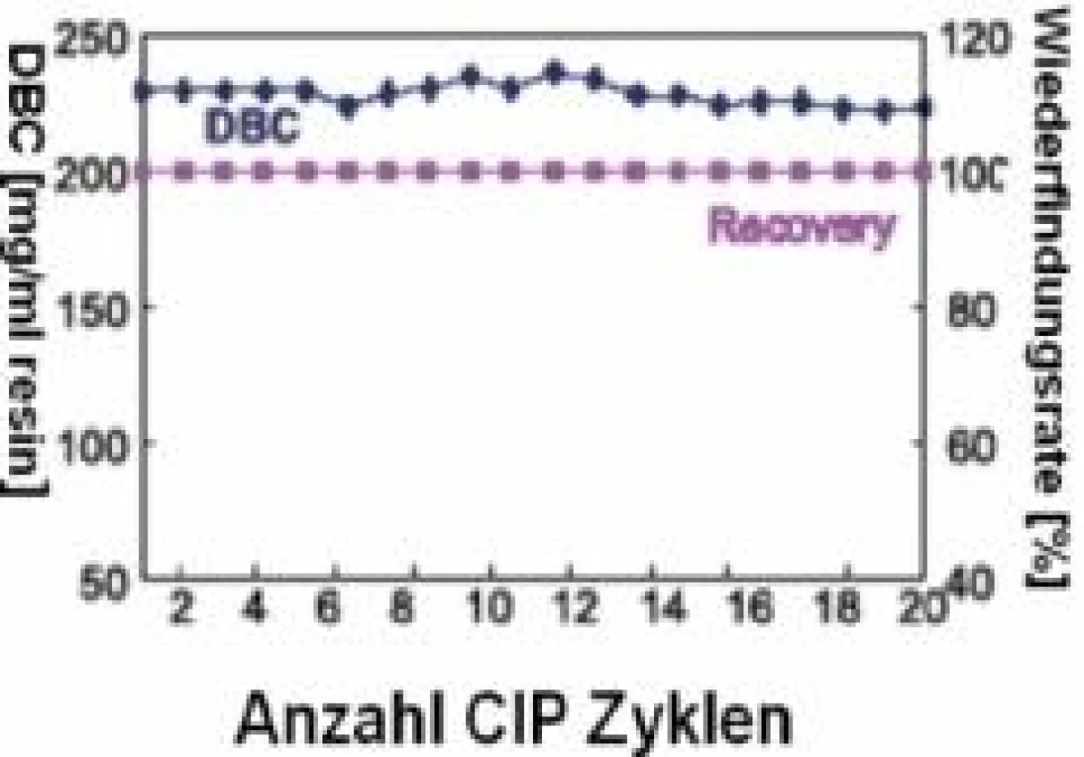 DBC und Wiederfindungsrate/Recovery nach bis zu 20 CIP-Zyklen.