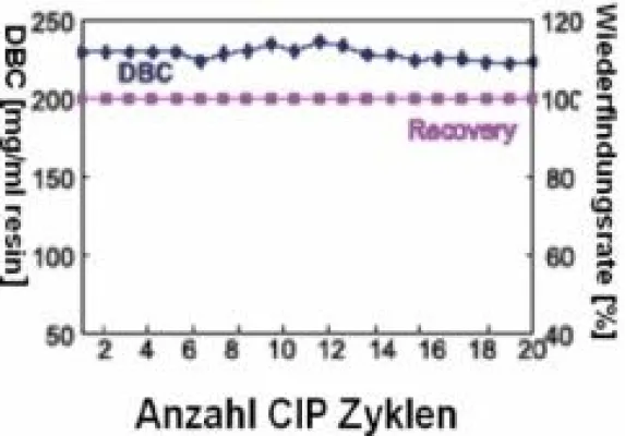 Bild: CIP überleben mit YMC-BioPro IEX Medien