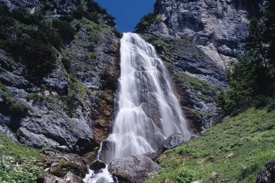 Natur erleben und verstehen auf geführten Bergwanderungen im Tiroler Rofan- und Karwendelgebirge Bild: Natur erleben und verstehen auf geführten Bergwanderungen im Tiroler Rofan- und Karwendelgebirge