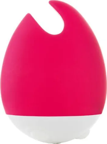 Bild: Focus Open Design-Award 2012 in Silber für FOU