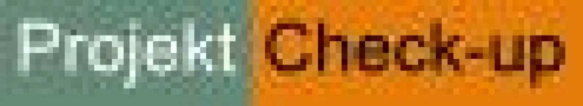 Online Projekt Check-up