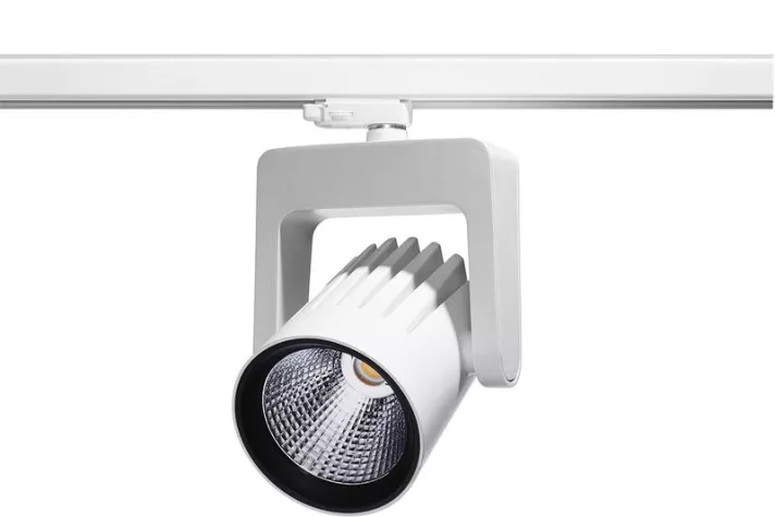 Bild: Auf den Punkt gebracht