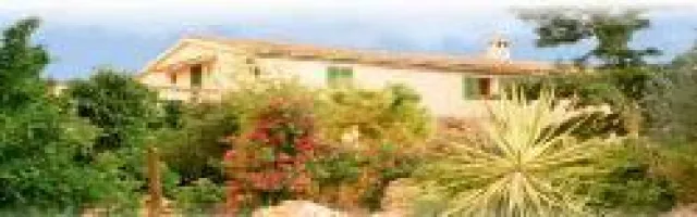 Bild: Gegen Stress und Winterdepression - Lachyoga-Wochenende auf Mallorca