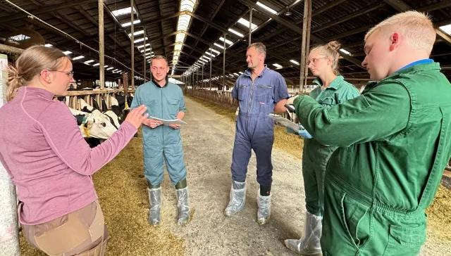 Bild: Moderne Milchkuhfütterung in der Praxis: Was muss der Tierarzt wissen?