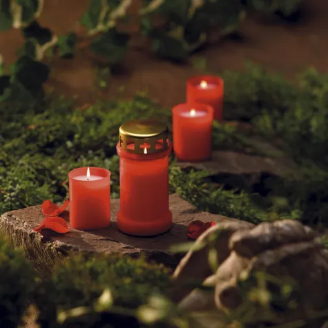 Bild: Die Bedeutung von Kerzenlicht für Allerheiligen und Allerseelen am 1. und 2. November