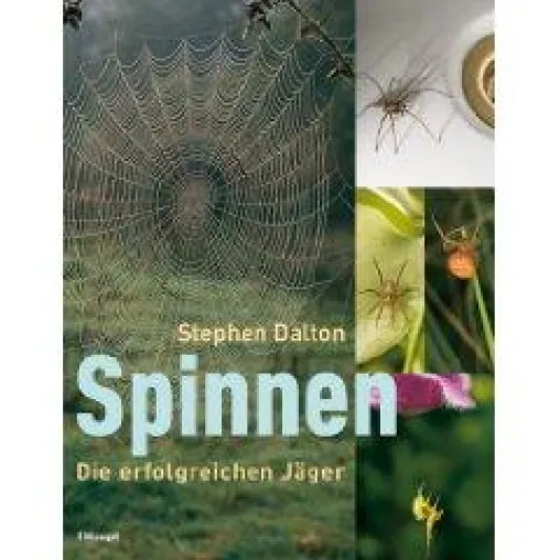 Leben am seidenen Faden - Faszination Spinnen Bild: Leben am seidenen Faden - Faszination Spinnen