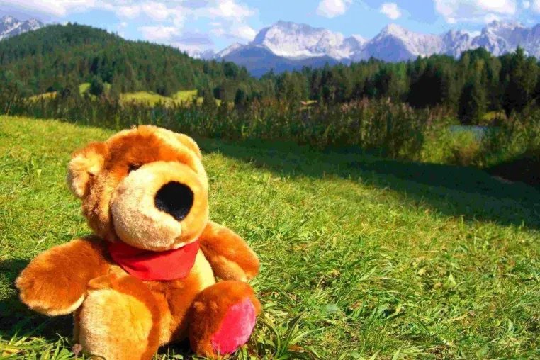 Bild: Individuelle Geschenkidee - Aktivurlaub und Erlebnisreisen für Stoff- und Kuscheltiere ins bayrische Oberland