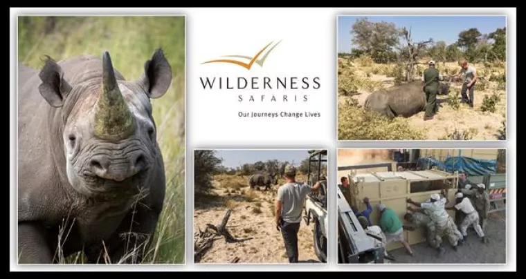 Bild: Royaler Einsatz für das Nashorn - Prinz Harry unterstützt Wilderness Safaris in Botswana