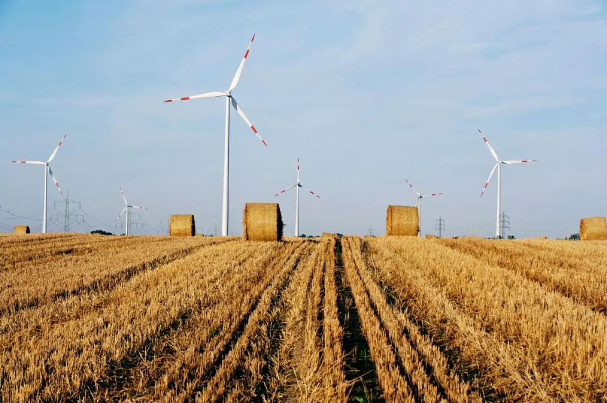 Anbieter von echtem Ökostrom investieren zum Beispiel in den Bau moderner Windkraftanlagen. Foto: Greenpeace Energy / Sabine Vielmo