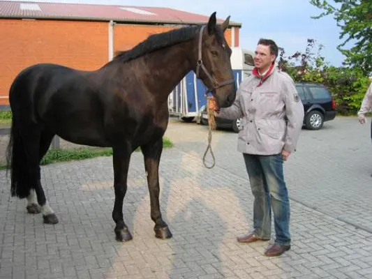 Bild: Erste Impfung eines Turnierpferdes gegen das West-Nil-Virus in Deutschland