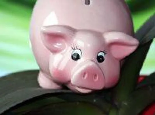 Bild: UDI Energie Festzins 11 - schon bald platziert!