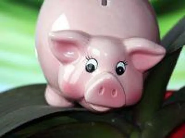 Bild: UDI Energie Festzins 11 - schon bald platziert!