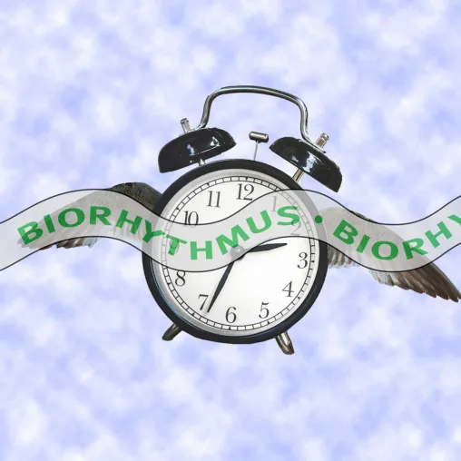 Bild: Biorhythmus der neue Podcast
