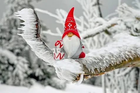 Bild: Eine schöne Alternative, die lange anhält