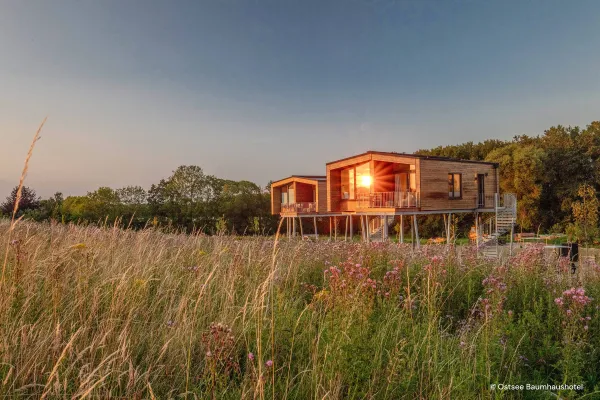 Baumhaus-Übernachtung zu Ostern: Warum Paare 2026 bewusst Zeit zu zweit suchen Bild: Baumhaus-Übernachtung zu Ostern: Warum Paare 2026 bewusst Zeit zu zweit suchen