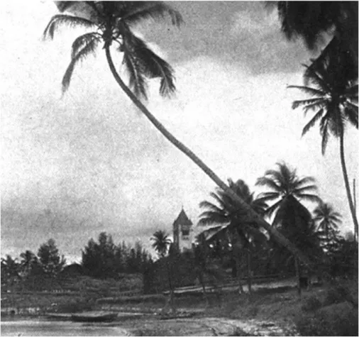 Bild: Die wahre Globalisierung