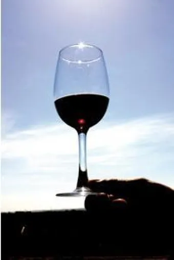 Bild: Wein Mallorca - Bodega Galmés i Ferrer - Weinbau im eigenen Dorf
