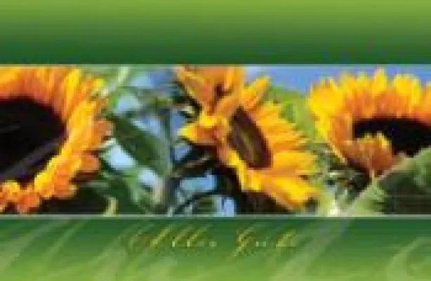 Bild: Geburtstagsgrußkarten als kostengünstige Maßnahme zur Kundenpflege