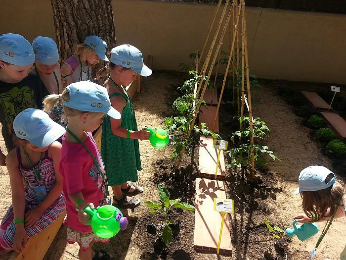 Kinder im hoteleigenen Gemüsegarten