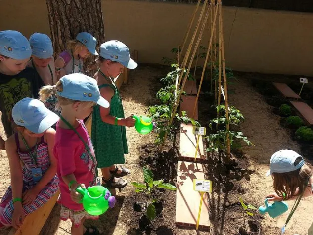 Bild: Spielerisch im Urlaub lernen: Gemüsegarten auf Mallorca